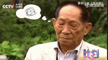 袁隆平三个儿子共生几个孙子孙女,袁隆平和两个孙女合影