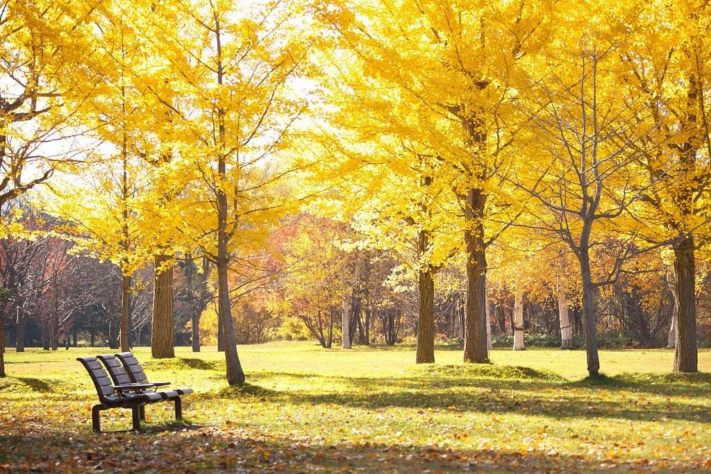 夜听美文林清玄,林清玄闭关3年悟出的4个人生哲理