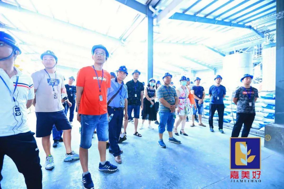 广东嘉美好进出口,广东嘉美好公司