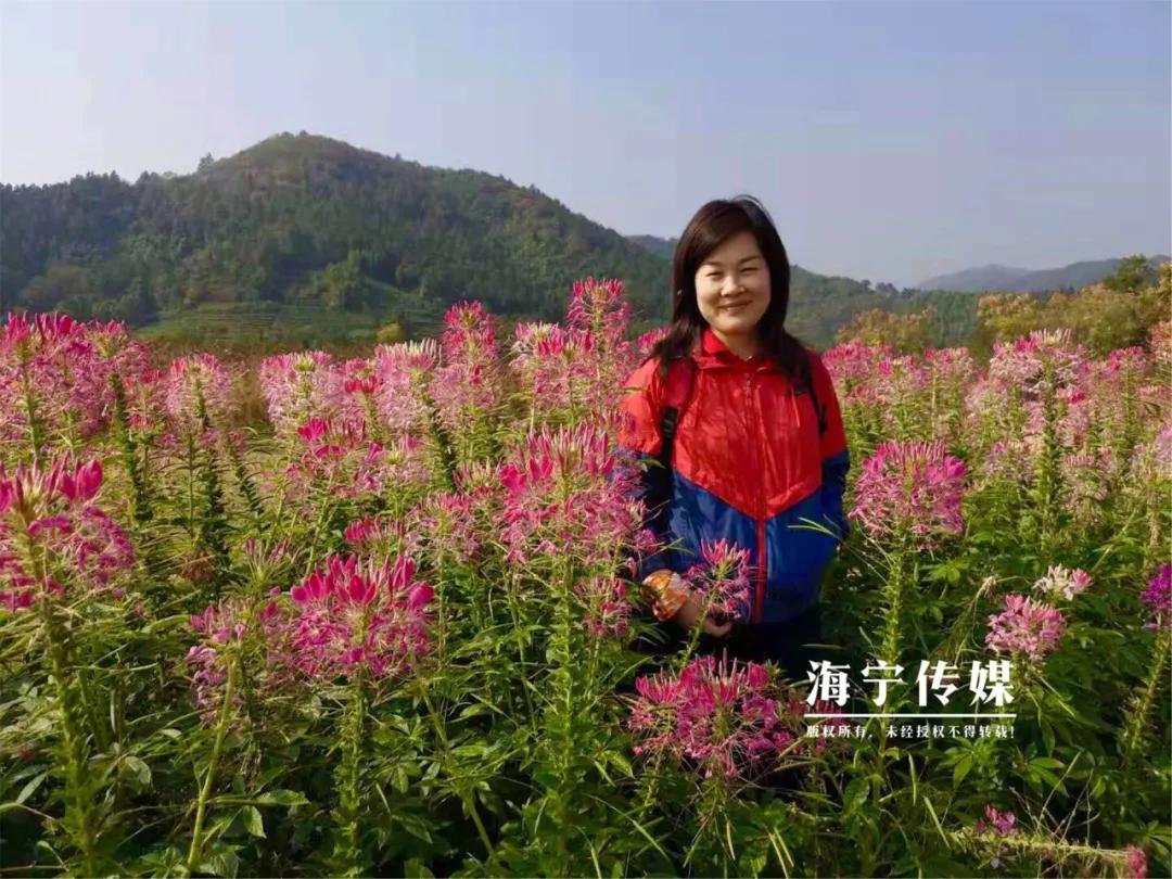 嘉兴市秀洲区表彰教师,嘉兴海宁市特级教师名单