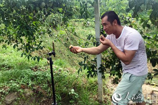 柳州市网络扶贫哪家强？请您来参加有奖投票