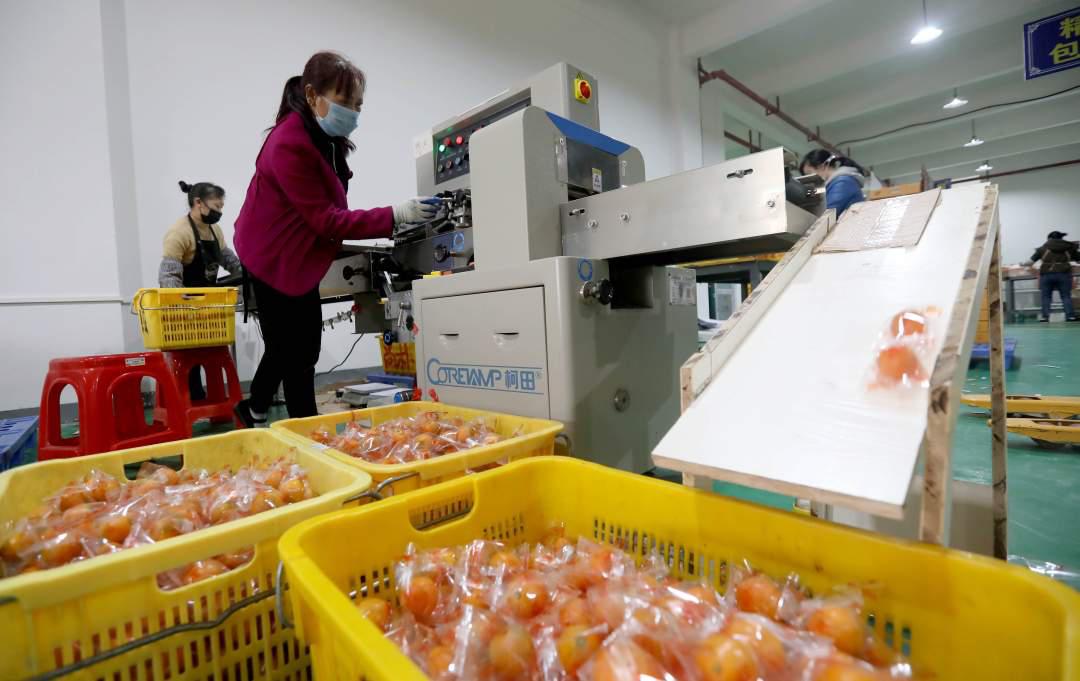 鏌冲窞甯傜綉缁滄壎璐姇绁ㄥ摢瀹跺ソ,鏌冲窞甯傜綉缁滄壎璐摢瀹跺己