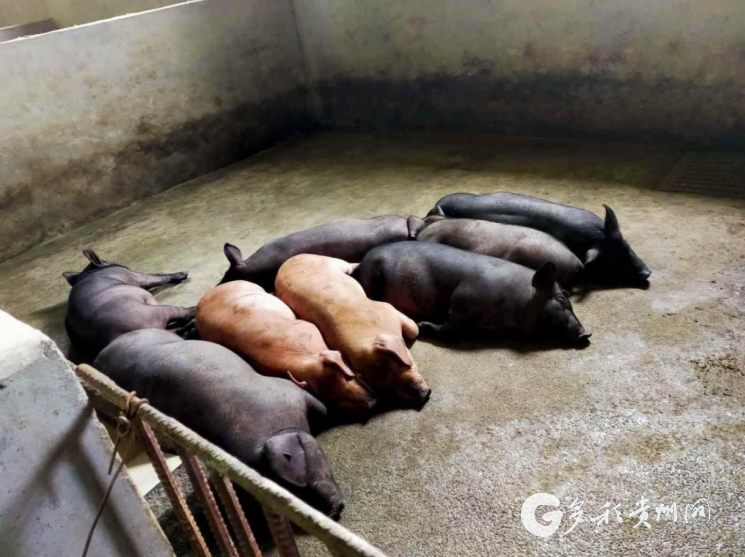 息烽润发缘:一头连着餐桌,一头连着基地一头挑着安全,一头挑着质量