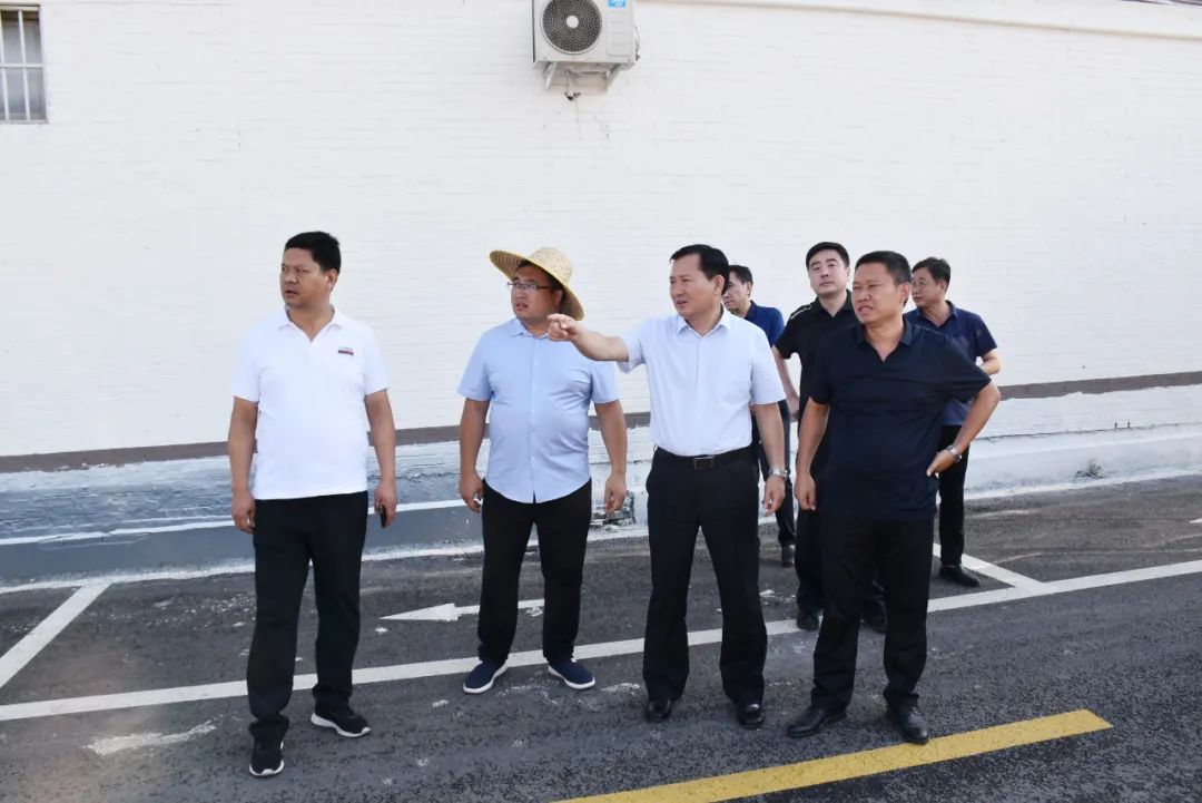 市委书记下乡视察乡办小学,市委书记到乡镇小学视察全集