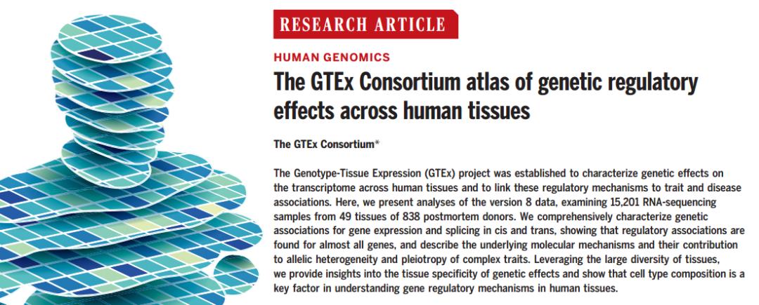 《科学》封面重磅：人类遗传学研究迎来又一重大里程碑！GTEx计划终极一剑，人类基因调控图谱徐徐展开丨科学大发现