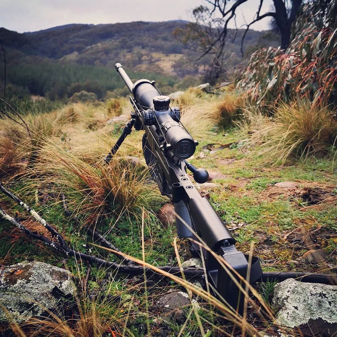 “终极射击平台”让栓动步枪更精准，多步枪兼容澳洲南的十字TSP-X「升级栓动步枪」