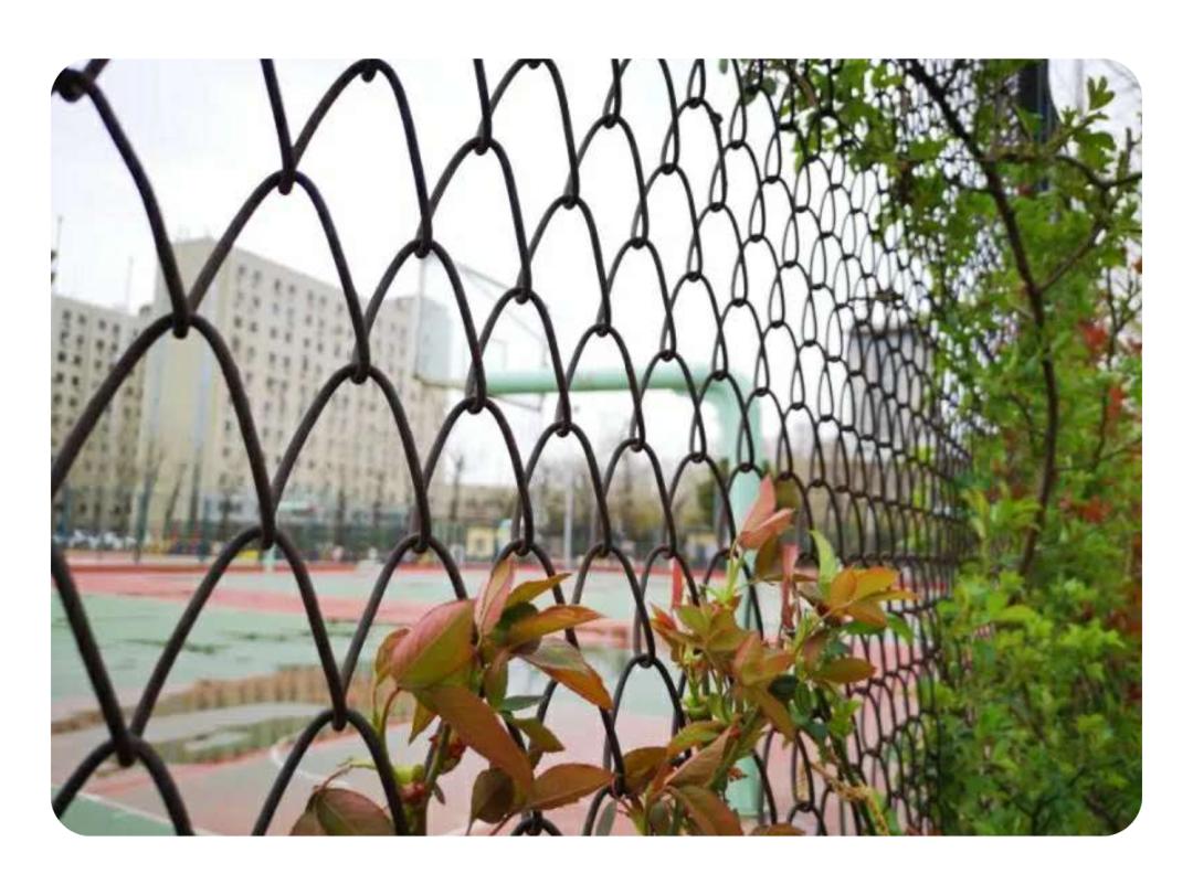 一周内体育田径新闻,校篮球联赛