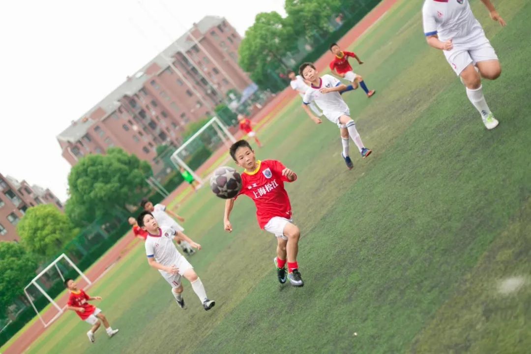 松江教育培训机构白名单,松江区团队拓展训练培训