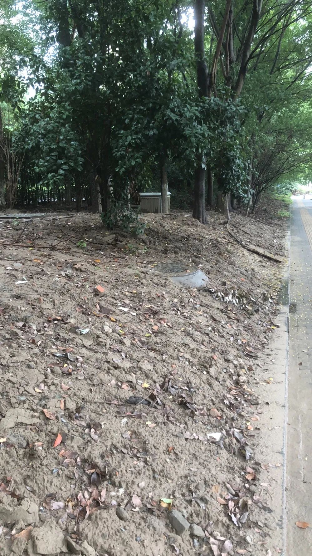 欠收拾图片,宝宝欠收拾