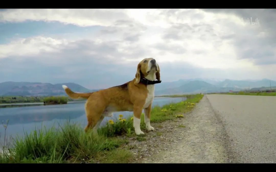 是贫民窟还是迷人异域？美国唐人街变迁史