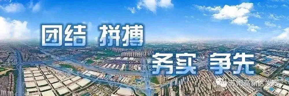 调研自贸区建设工作总结,区领导调研招商