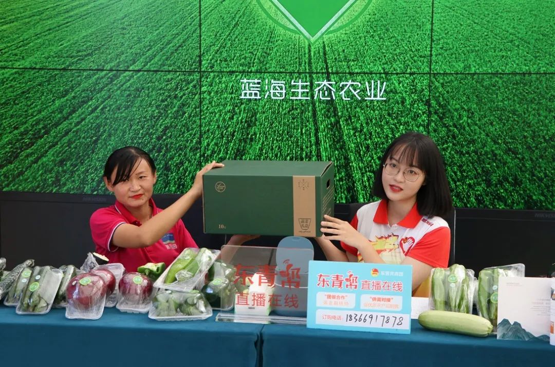 东青帮直播在线观看,东青帮直播在线