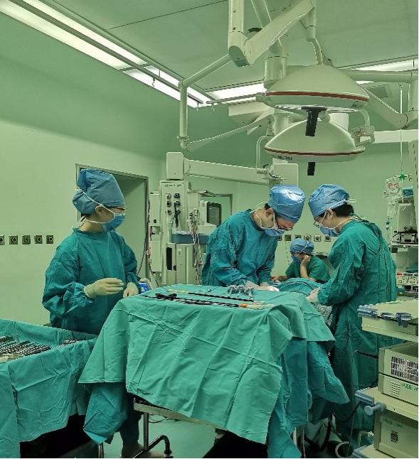 卵巢组织冷冻移植技术设备,卵巢组织冷冻