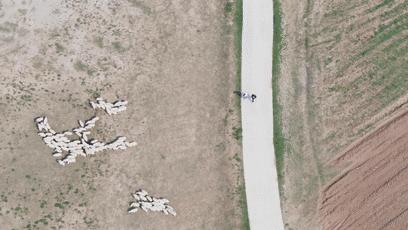 网约车司机送四个孩子,一个网约车司机带走三个女孩