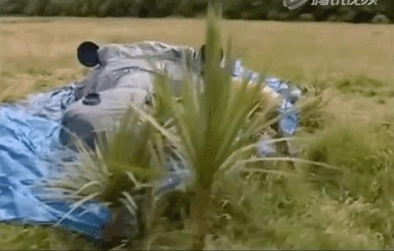 小神龙俱乐部里的艺术创想,童年小神龙俱乐部