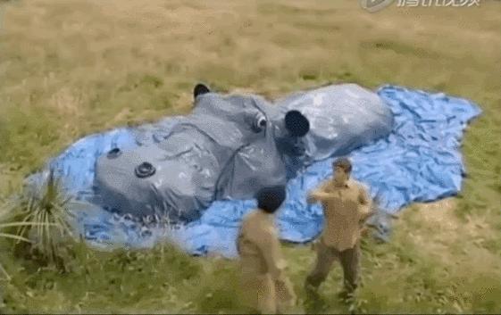 小神龙俱乐部里的艺术创想,童年小神龙俱乐部