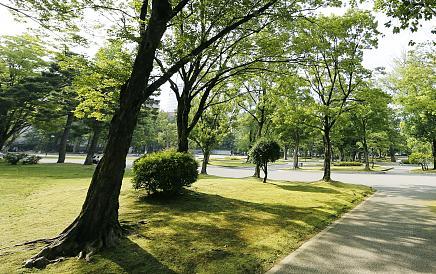 自然资源部违法案件查处工作,自然资源部67个违法违规典型