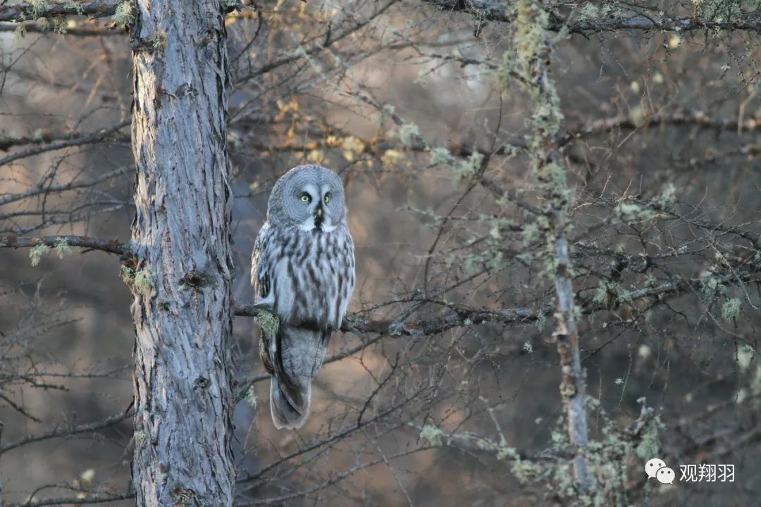别去挤景点了！生态旅游了解一下