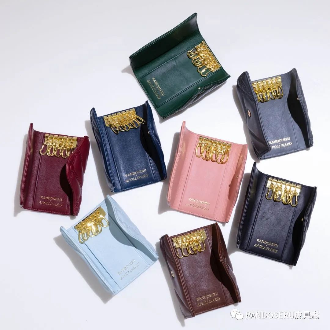 RANDOSERUXAPOLLINARIS联名|首款原创专利建筑几何切割多功能钥匙包卡包首发