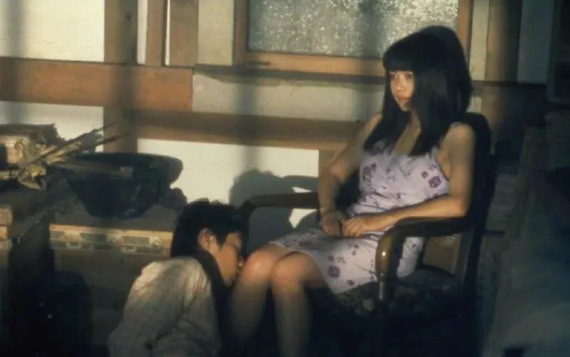 养了十年的狗和出生的婴儿,养了10年的狗和男朋友你选谁