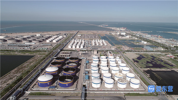 从第一个15年走向下一个15年激荡东营港下好“一盘棋”