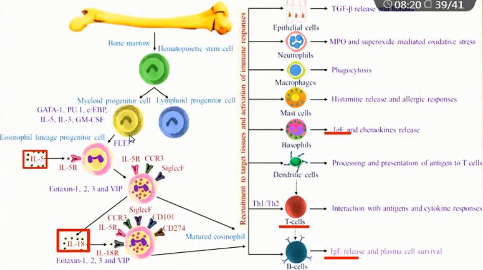 王振义院士视频完整版,王振义院士放弃申请专利新闻