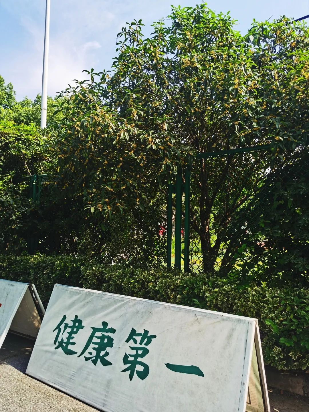 滨江多思创新学校,滨江学校全部排名