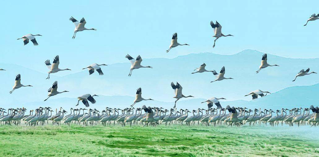 最美清婺景之旅，这个国庆你值得拥有