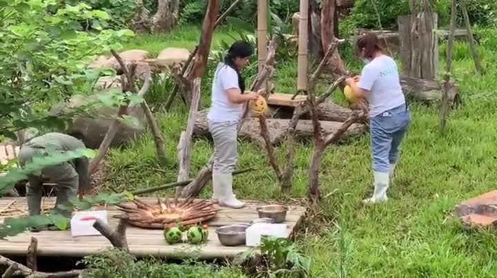 大熊猫三胞胎过中秋吃月饼,大熊猫三胞胎吃月饼庆中秋新闻