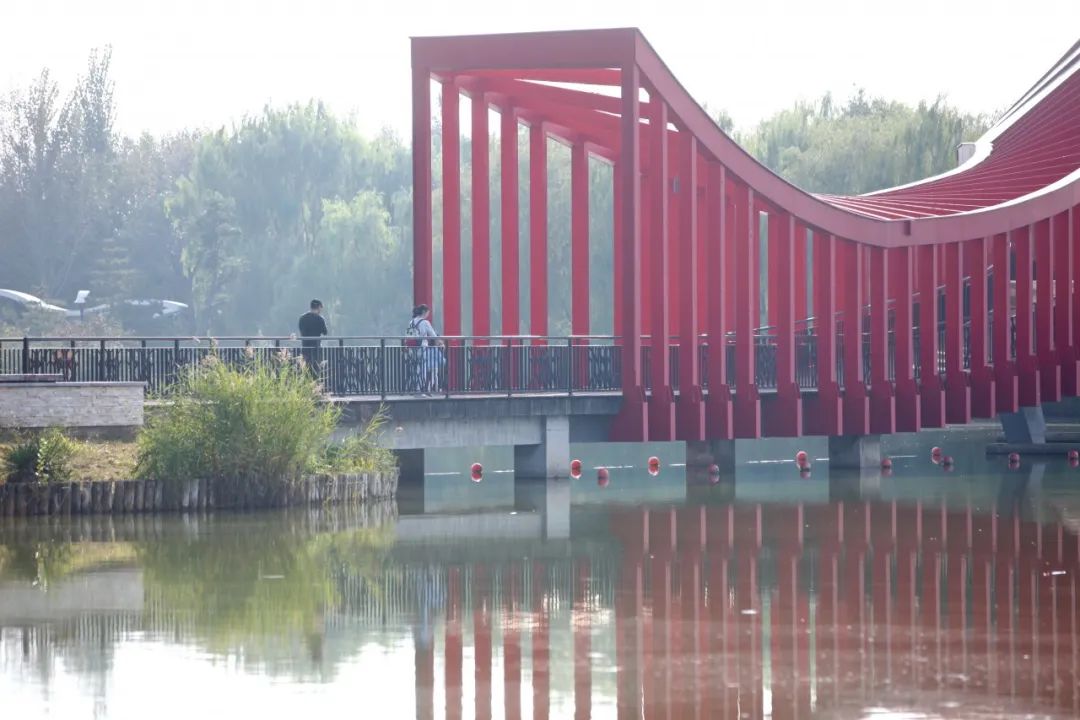 适合周末亲子游的地方,亦庄有什么公园可以玩