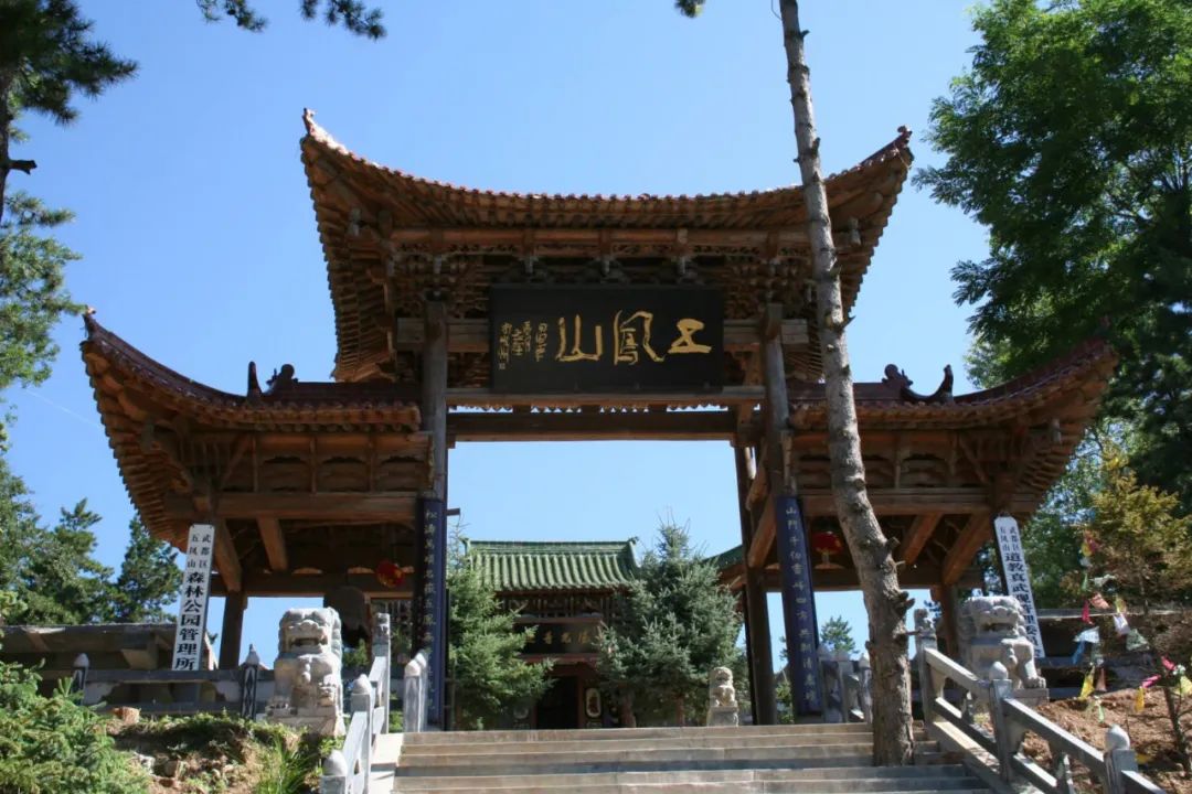 武都旅游景点大全,武都旅游线路