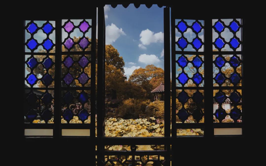 苏州是一座什么样的城市,苏州是一座美丽的城市