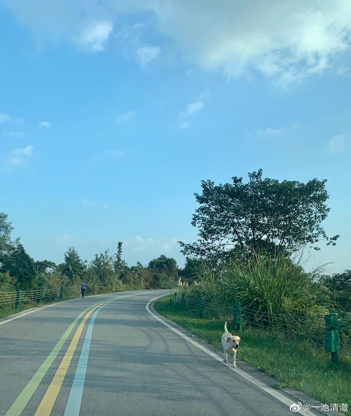 5条乡村游路线等你来打卡,国庆节乡村旅游打卡