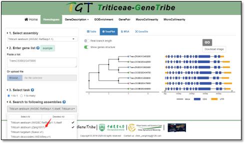 小麦基因组序列查询,小麦基因组