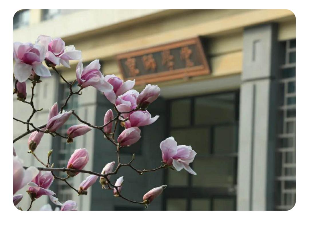 一周早报|快来“回到校园2020美术新作展”寻找艺术与美