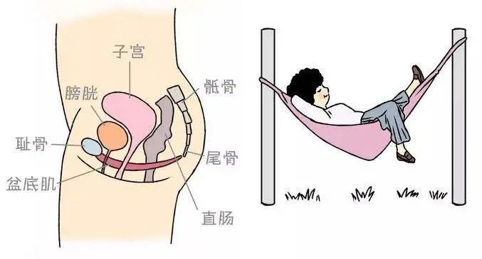 更年期保健综合管理指南,更年期女性就医指南