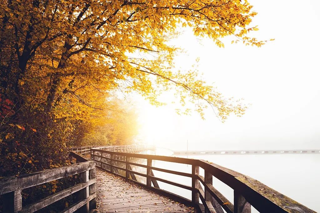 郁达夫到底是爱秋还是悲秋,郁达夫孤独的秋