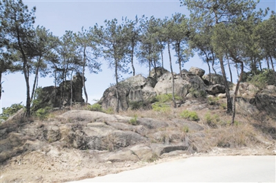 南阳石刻碑刻,南阳新发现多处岩画