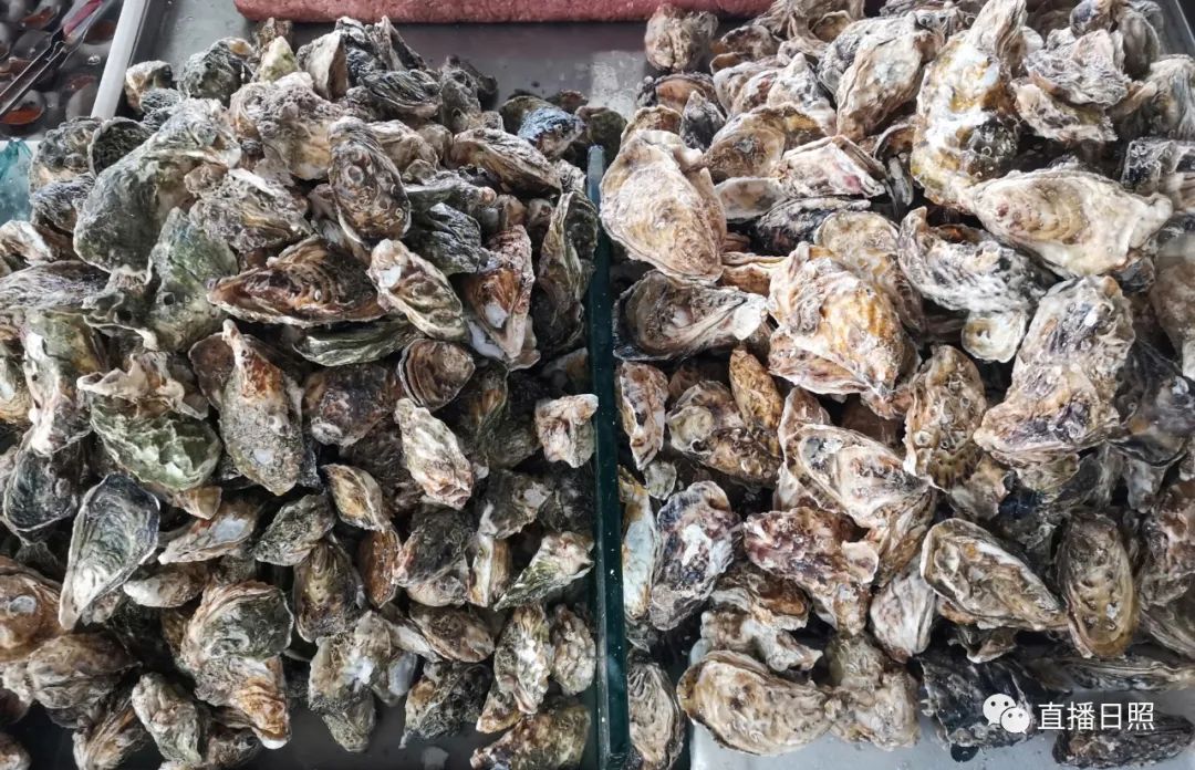 螃蟹5元一斤,日照海鲜螃蟹多少钱