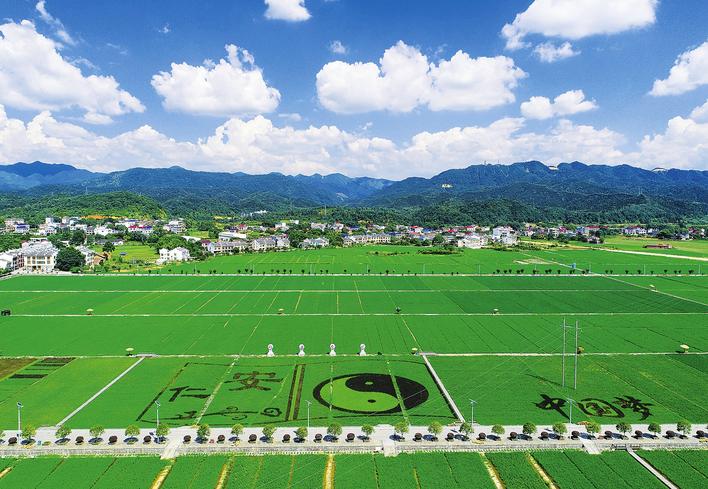 坚决啃下硬骨头下集,坚决打赢攻坚持久战