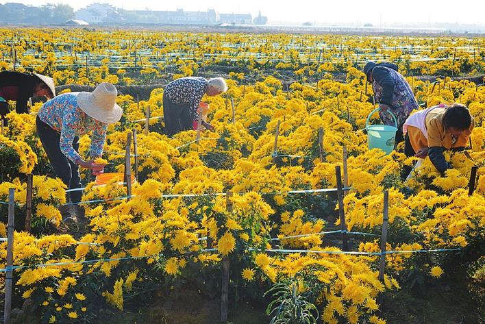 坚决啃下硬骨头下集,坚决打赢攻坚持久战