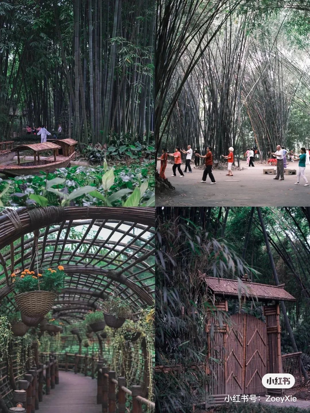 成都1100个公园俯瞰,成都100个公园规划图