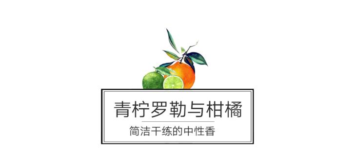 闻过就无法忘记的香水,闻过就忘不掉的香水盘点