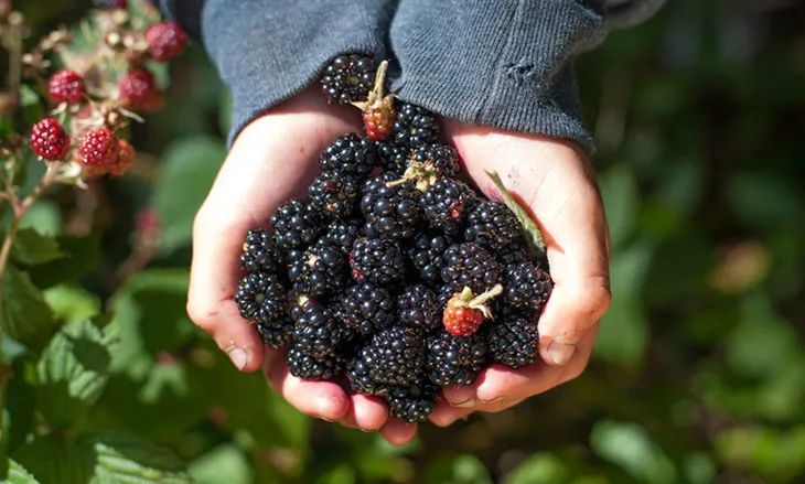 闻过就无法忘记的香水,闻过就忘不掉的香水盘点