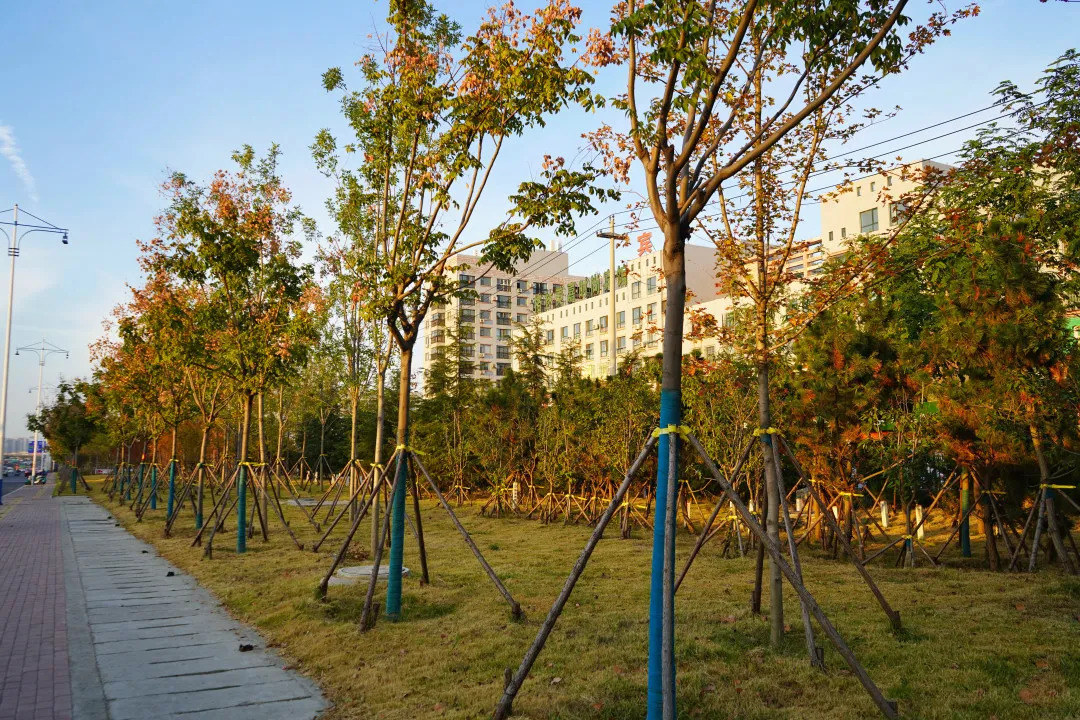 描绘乡村美丽新画卷,描绘中国美丽新画卷