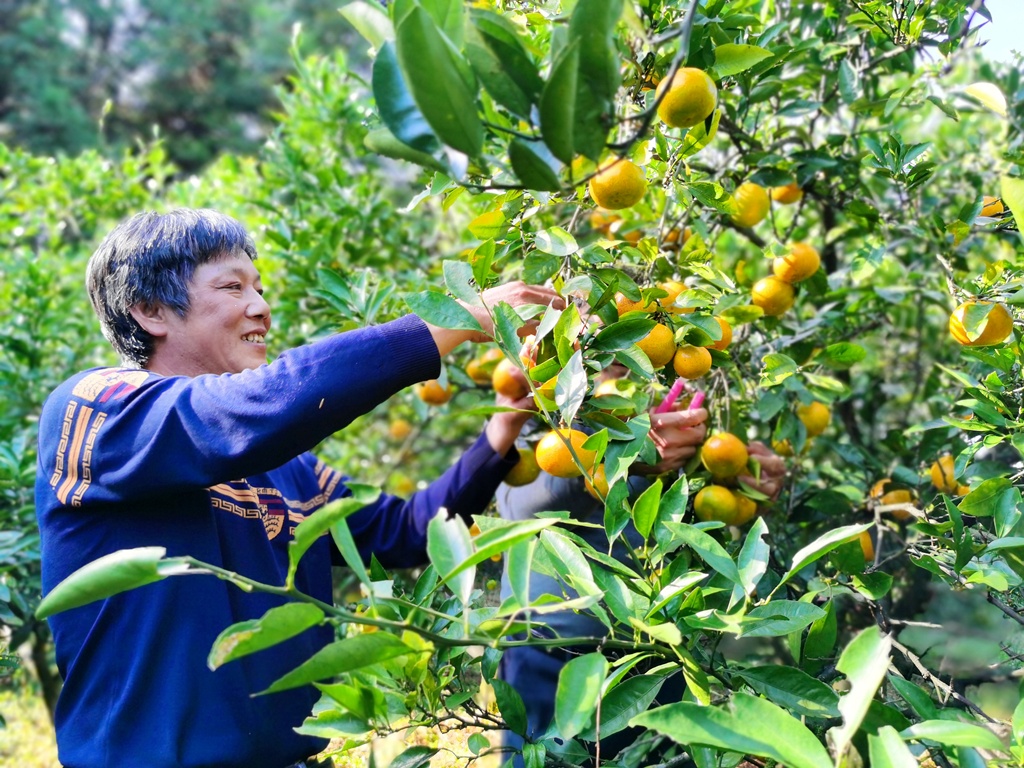 「清风镜头」国家扶贫日