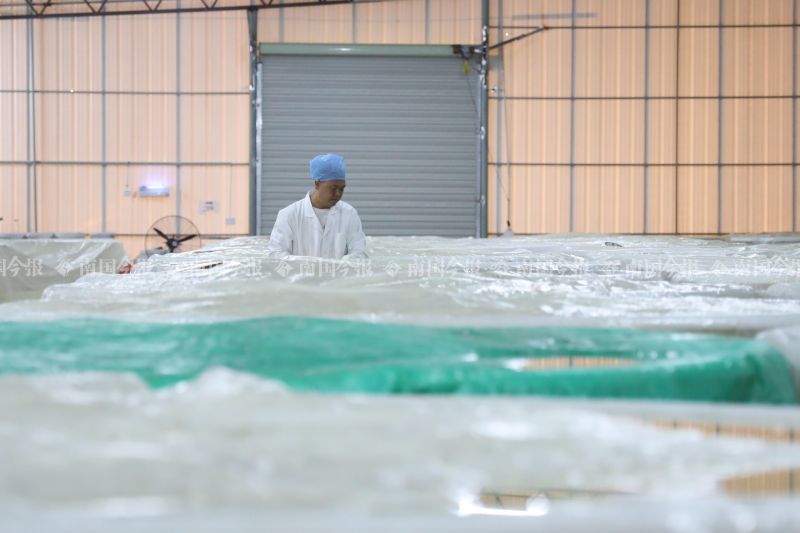 酸笋闻臭师年收入,酸笋闻臭师