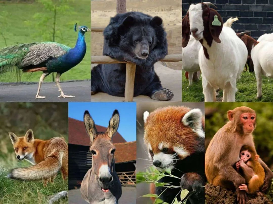 打工人一定要看的视频,打工人必看劳动法