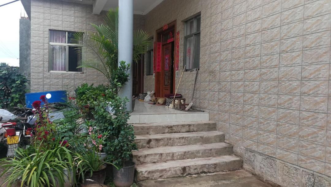 三兄妹终于团聚,韩家三兄妹最新视频