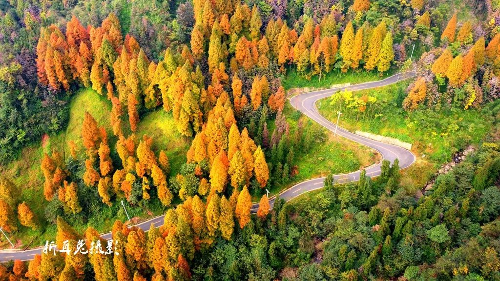 初秋彩林成都周边秘境,成都附近彩林秘境